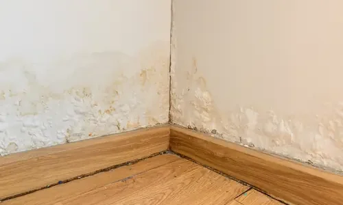 Wall Drying after house flood